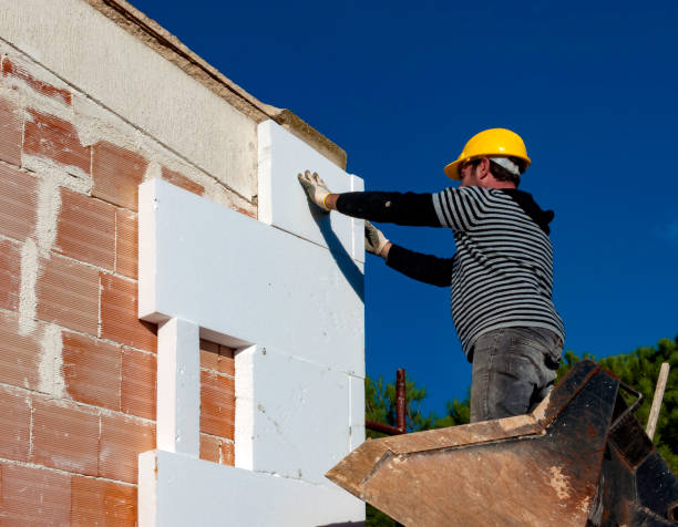 Best Eco-Friendly Insulation in Monticello, LA
